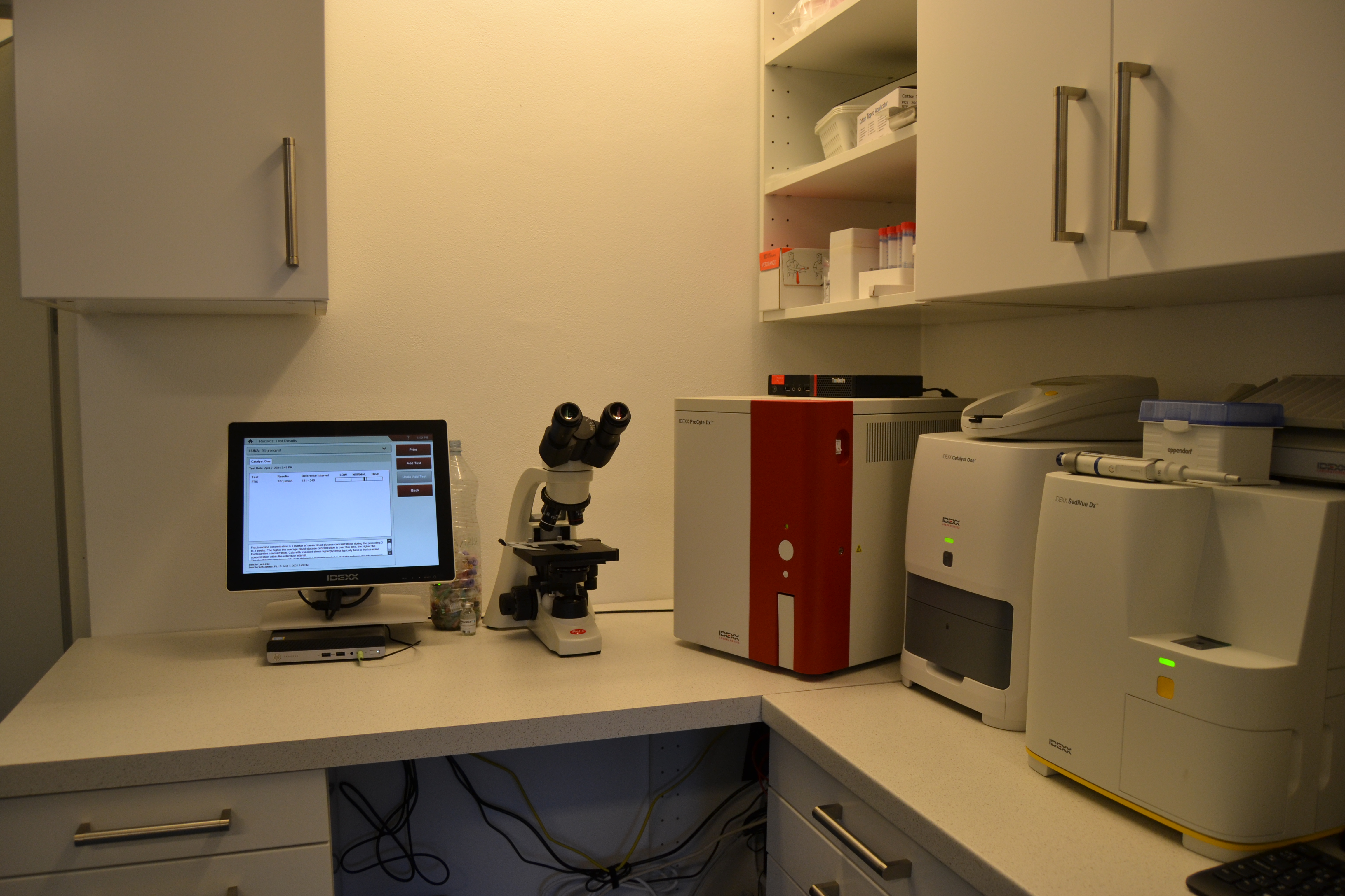 Labbet
